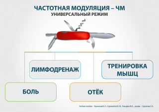 СКЭНАР-1-НТ (исполнение 01)  в Абакане купить Медицинская техника - denasosteo.ru 