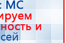 СКЭНАР-1-НТ (исполнение 01 VO) Скэнар Мастер купить в Абакане, Аппараты Скэнар купить в Абакане, Медицинская техника - denasosteo.ru